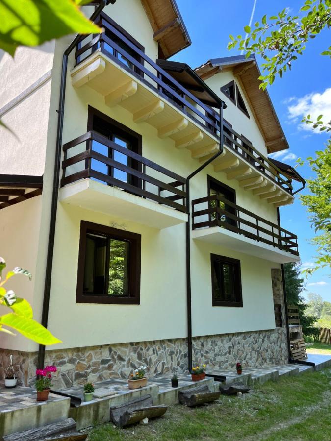 Cabana Din Padure Hotel Porumbacu de Sus Ngoại thất bức ảnh