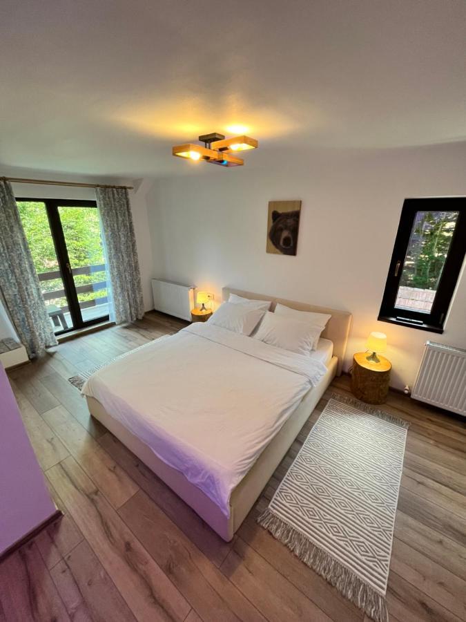 Cabana Din Padure Hotel Porumbacu de Sus Ngoại thất bức ảnh