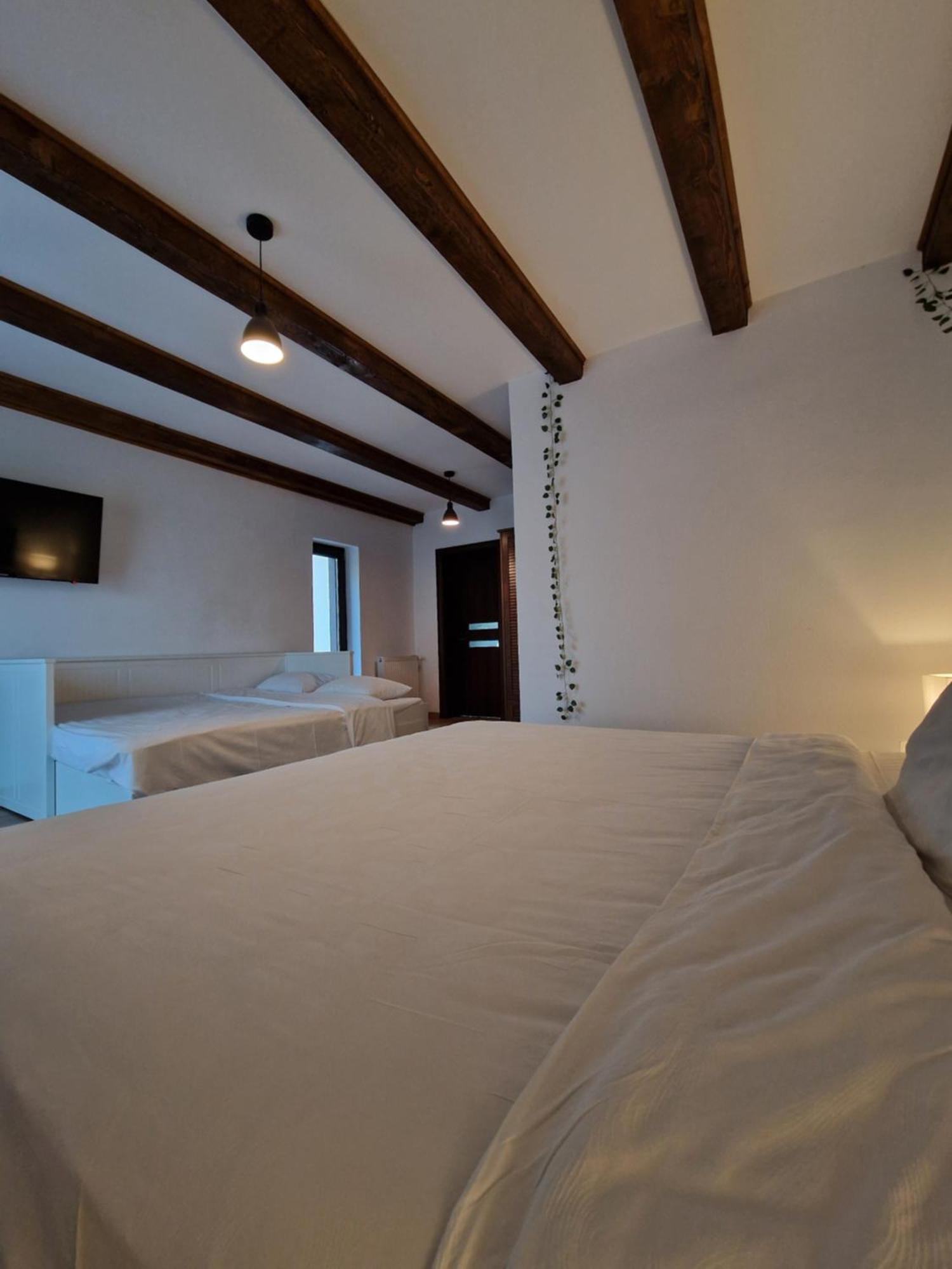 Cabana Din Padure Hotel Porumbacu de Sus Ngoại thất bức ảnh