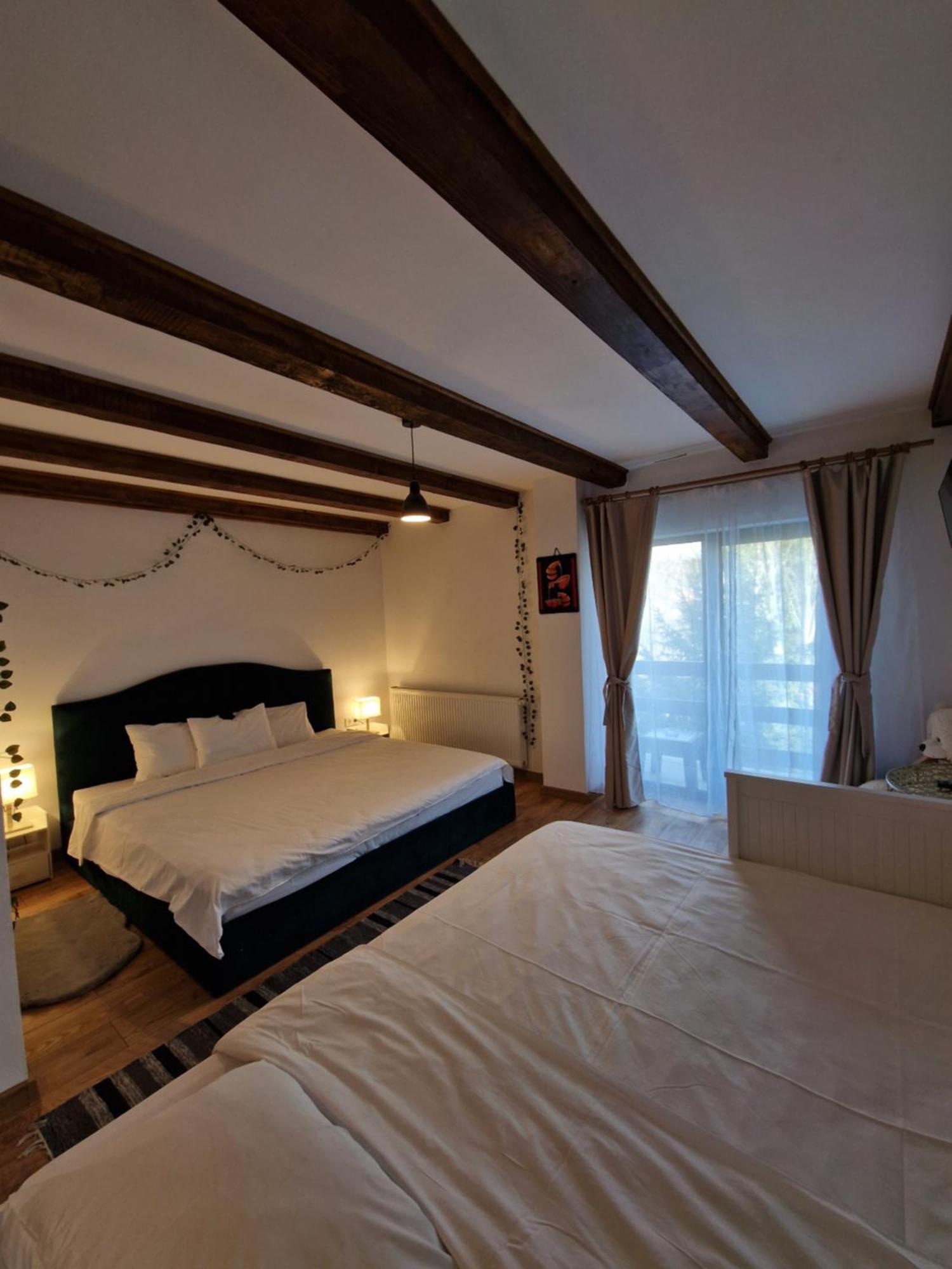 Cabana Din Padure Hotel Porumbacu de Sus Ngoại thất bức ảnh